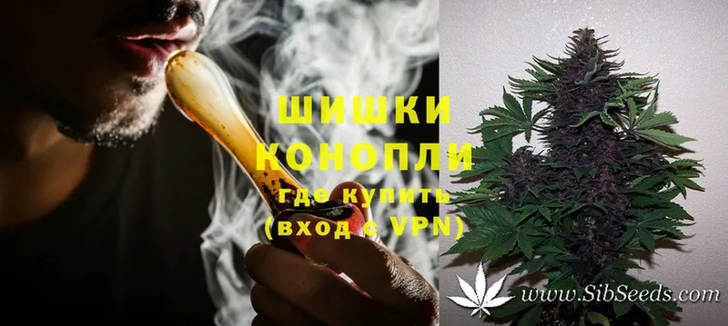 Бошки Шишки гибрид  купить закладку  Лермонтов 